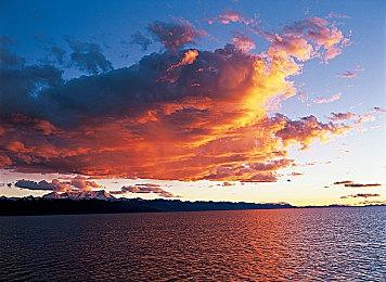 《美国狼人在LA》Steam页面 支持简体中文