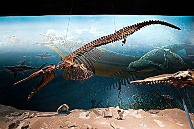 马斯克974亿收购计划落空 OpenAI董事会坚决说‘不’