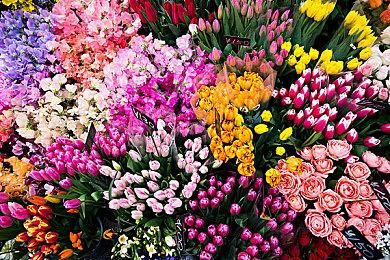 类魂游戏多 宫崎英高无压力：玩家很享受我们的游戏