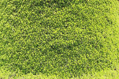 偷偷撤回？任天堂官网删除Switch2对VRR支持的描述