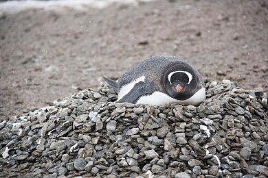 这十款游戏拿下PlayStation平台财年一半收入